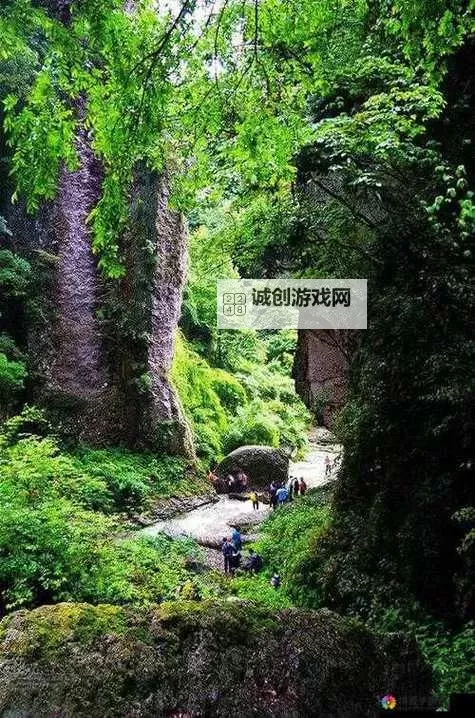 幽谷花径内的阻力突然减小：探寻自然中的奇迹图1