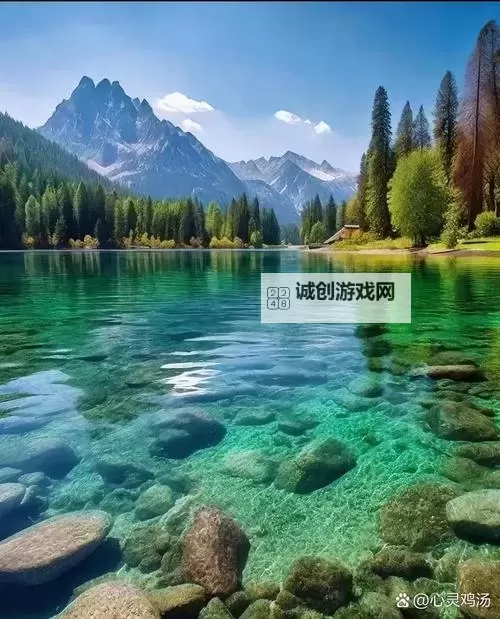 探索最新的tube8免费视频内容，尽享高清视觉盛宴图1