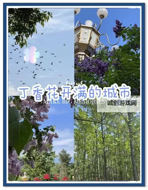 色五月丁香月综合：浪漫与激情的完美交汇图1