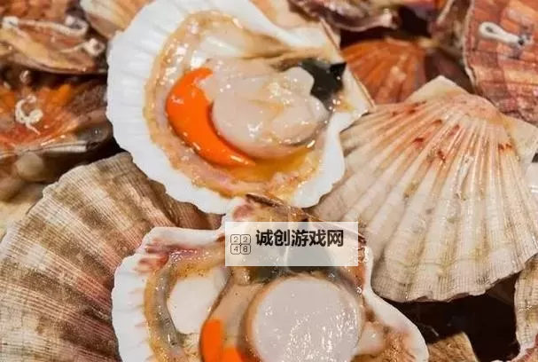 在把腿张大点我就可以吃到扇贝了：海边美味的奇妙体验图1