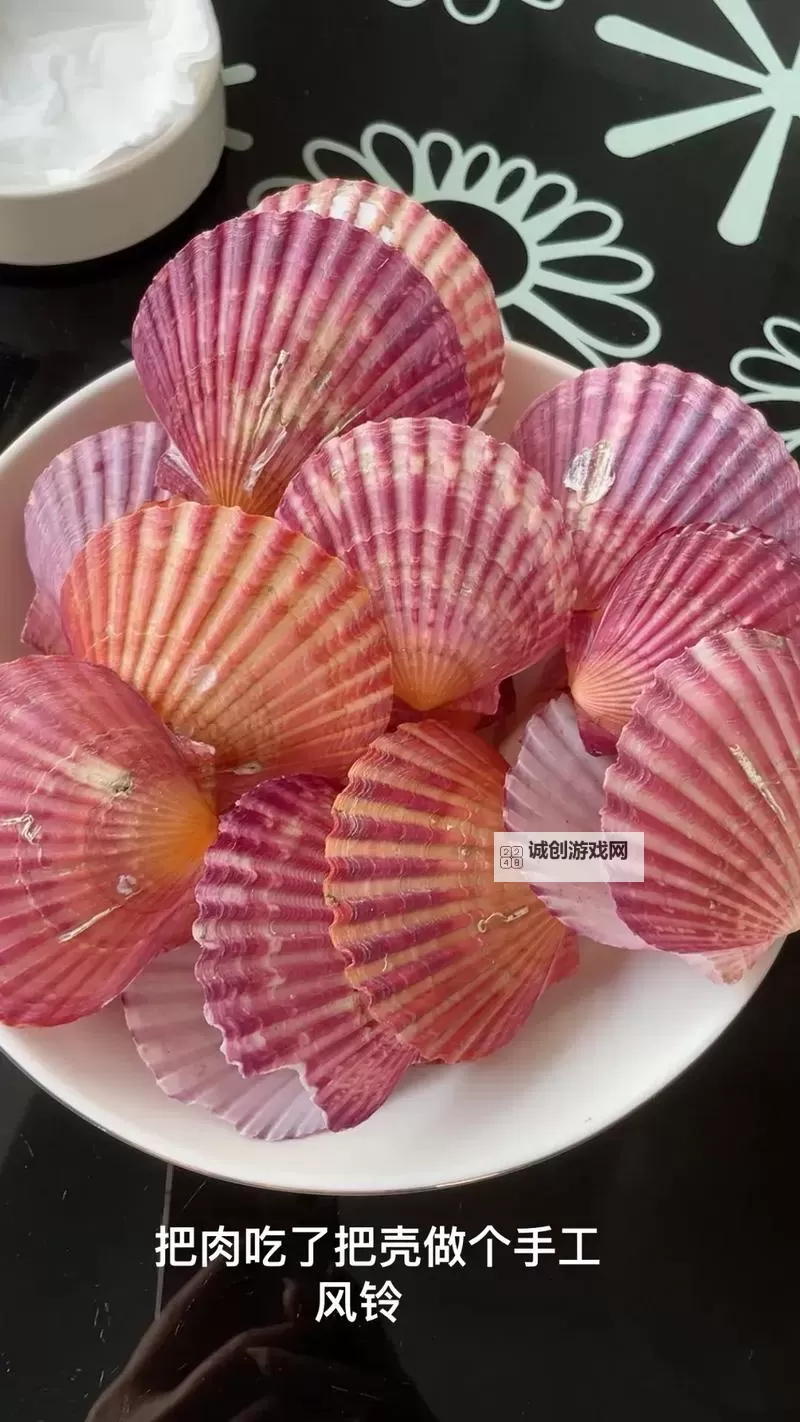在把腿张大点我就可以吃到扇贝了：海边美味的奇妙体验图2