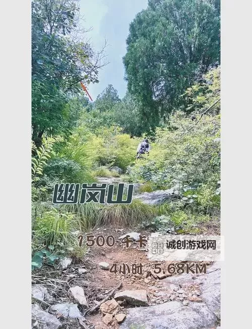 幽谷花径内的阻力突然减小：探寻自然中的奇迹图2