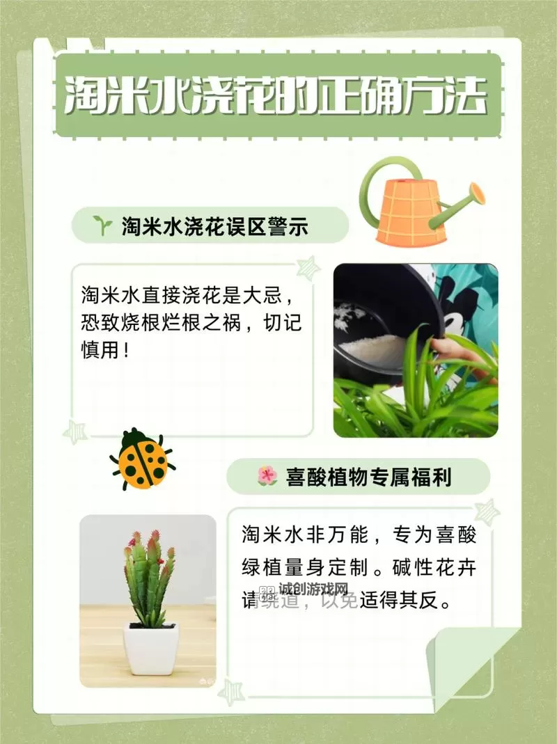 用什么水淘米：最佳选择与注意事项图2