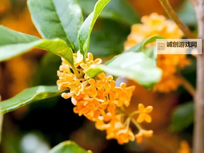 揭秘中国十大黑帮老大：权力与阴谋的暗黑帝国图2