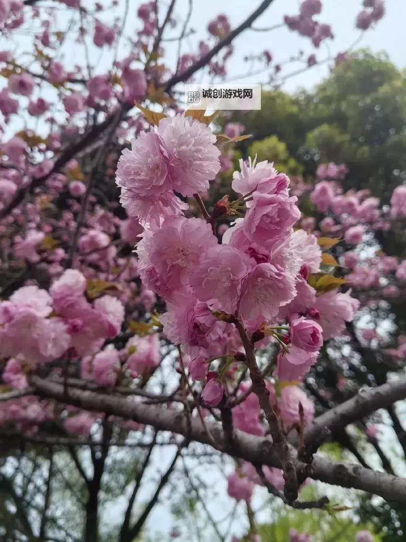 揭秘中国十大黑帮老大：权力与阴谋的暗黑帝国图1