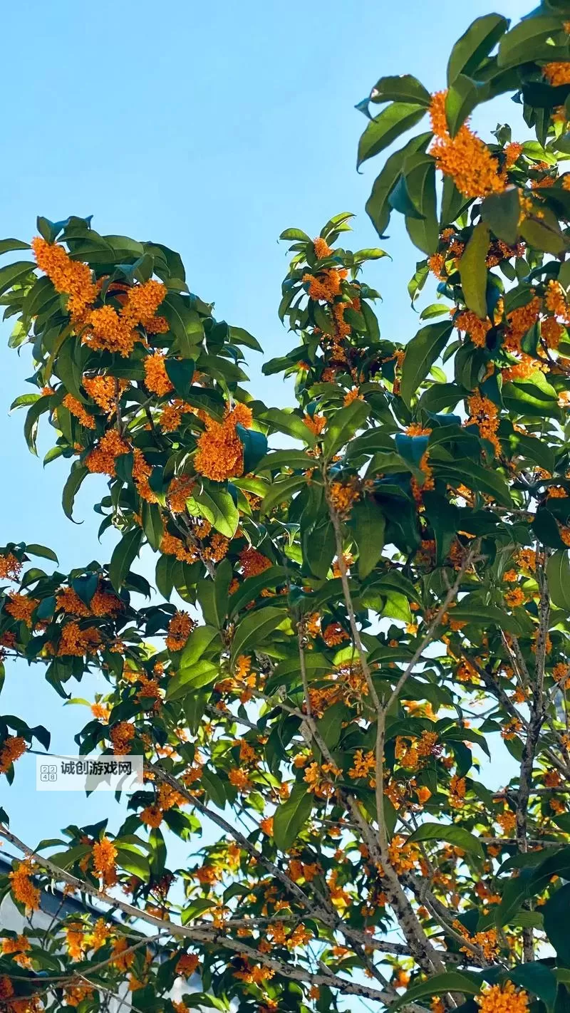 探索丰富的内容：エロンピ一スエロ天堂资源全面介绍图2