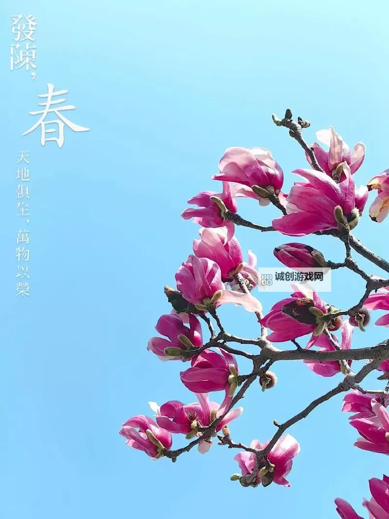 风流秘史txt下载：揭秘都市情感与爱情秘闻图1