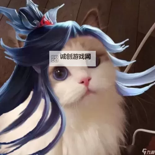 获取最新2025天龙荣耀版激活码,开启 incroyable游戏体验图1