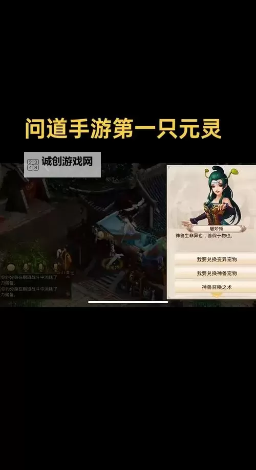 问道哪个仙元最贵?揭秘最珍贵的仙元类型与价值分析图2