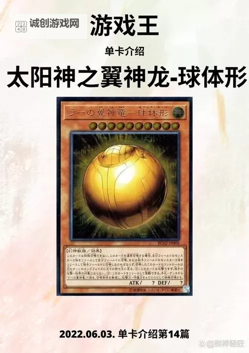 神秘巨兽再现：探索球形态翼神龙的奥秘图1