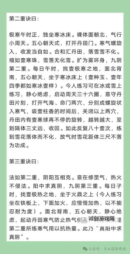 九阴真经唐门易容流程详解:秘诀与实用指南图2