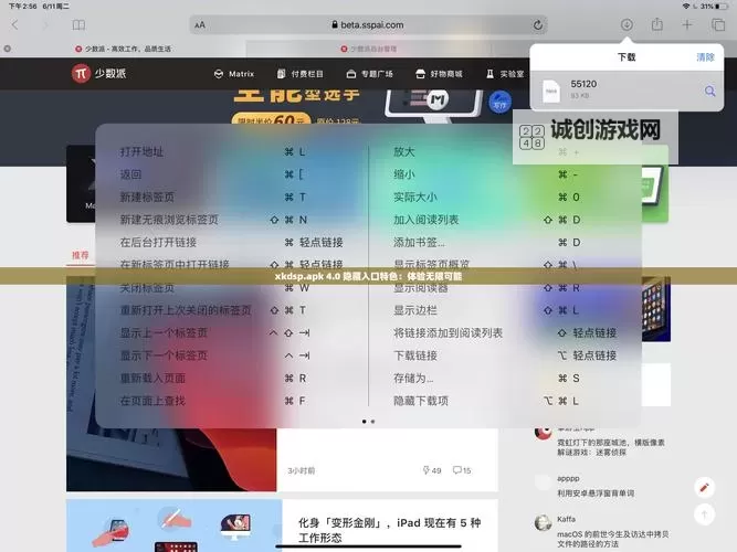 xk是什么软件:详解其功能与应用领域图1