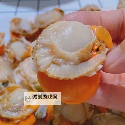 腿在张大点可以吃到扇贝肉了视频：美味开启的海鲜新体验图1