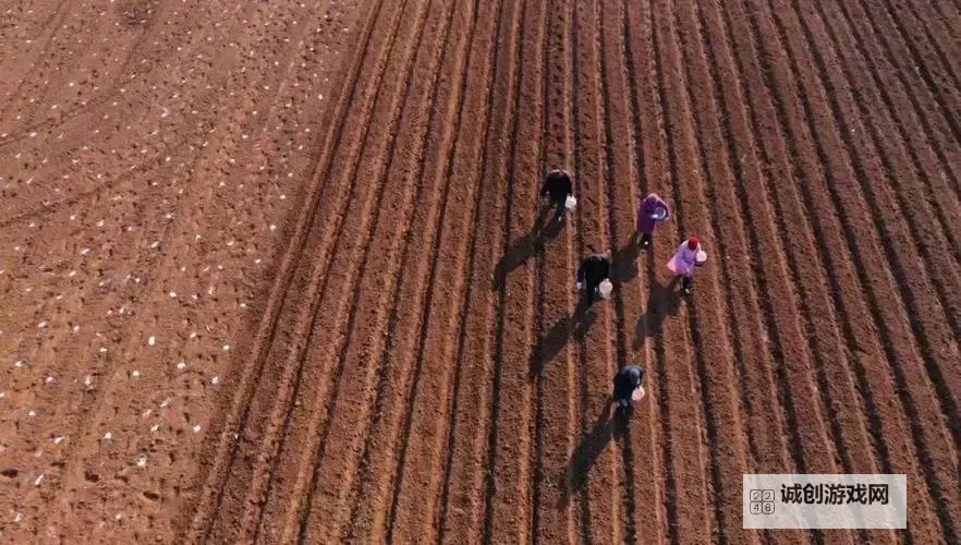 春耕春播24小时直播:全景展现农耕季节繁忙与希望图1