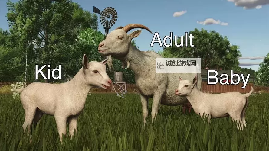 最新美国ZOOM动物_农场:揭示数字化时代的农业新生态图1