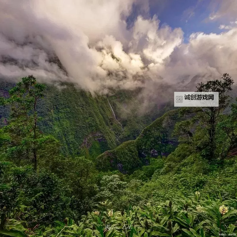 山外人精品：探索自然之美的独特魅力图1