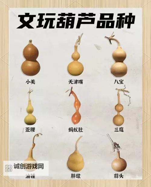 揭秘传奇：十大葫芦法宝的神奇奥秘图1