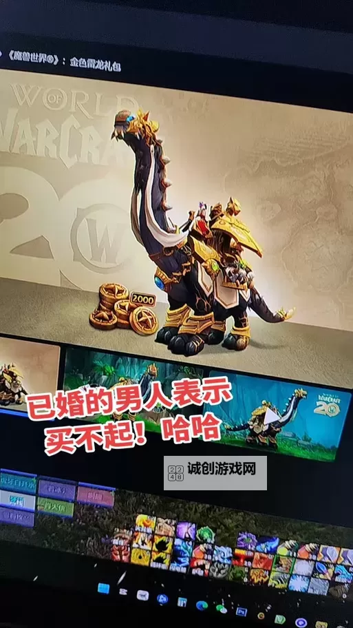 魔兽世界雷龙值得买吗？全面解析其价值与购买建议图1