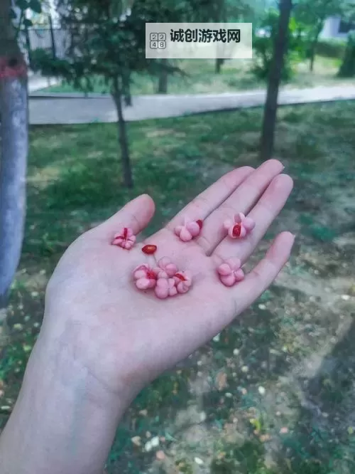 真实破外女摘花流血了:惊人瞬间曝光引发热议图1