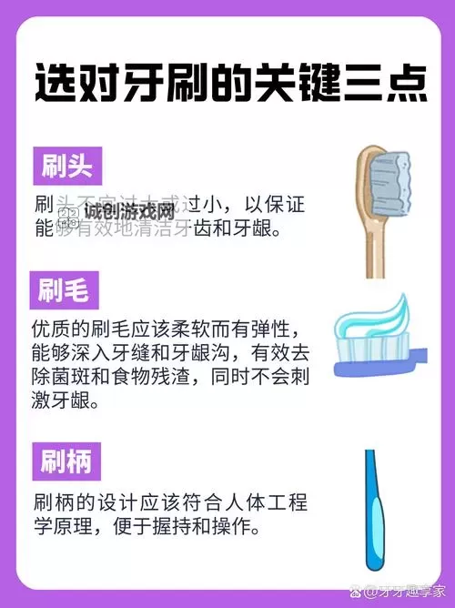 使用牙刷在尿孔来回刷:注意正确方法与注意事项图1