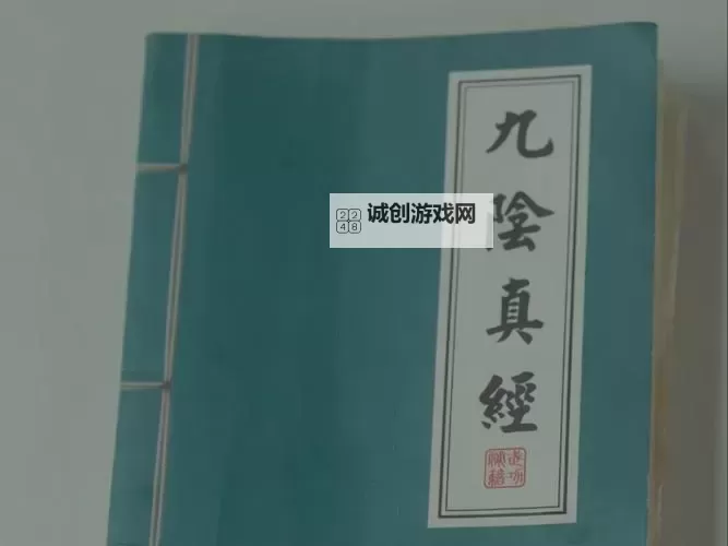 九阴真经易容传奇：重获自由的下山之路图1