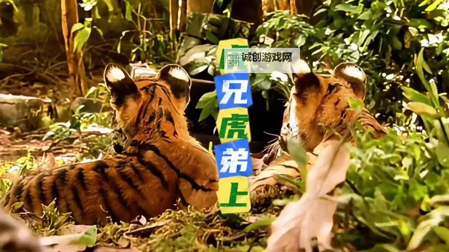 四虎wwwwwWWWWWWW：探索神秘的四虎世界之旅图1