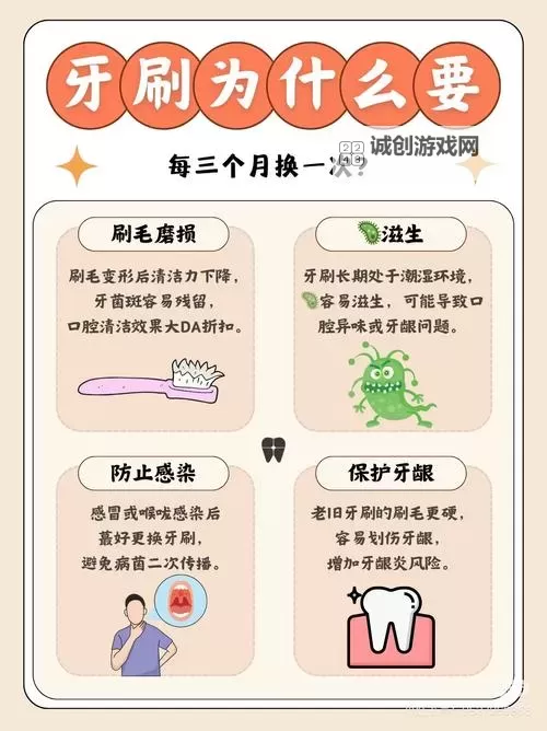 使用牙刷在尿孔来回刷:注意正确方法与注意事项图2