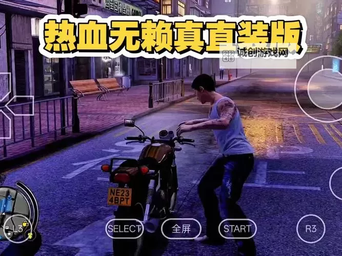 热血无赖英文版怎么调画质详解指南图1