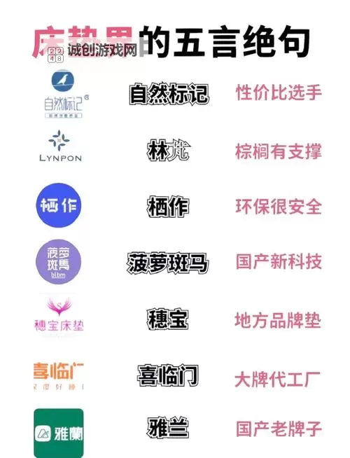 探寻创新亮点：AAA综合国产品牌全面解析图1