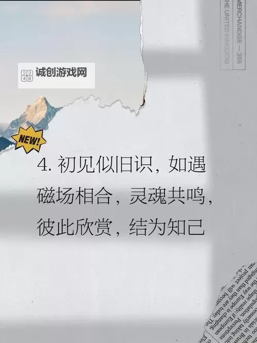 与你契合百分百:开启心灵共鸣的完美配搭图2