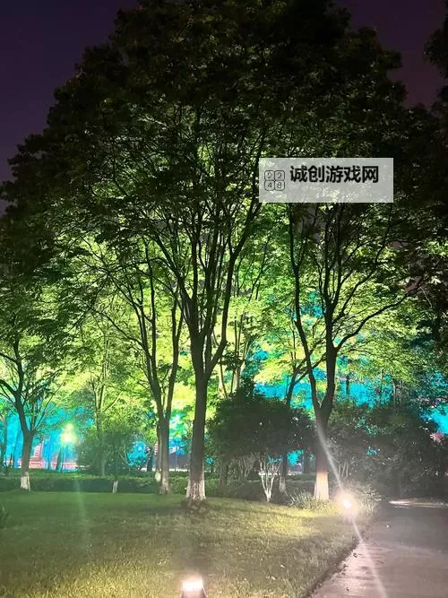 本夜色在线免费观看:畅享唯美夜色景色的精彩时刻图1