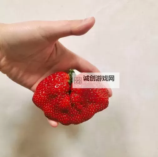 探索美味新境界:草莓8X8X8X的奇幻果园之旅图1