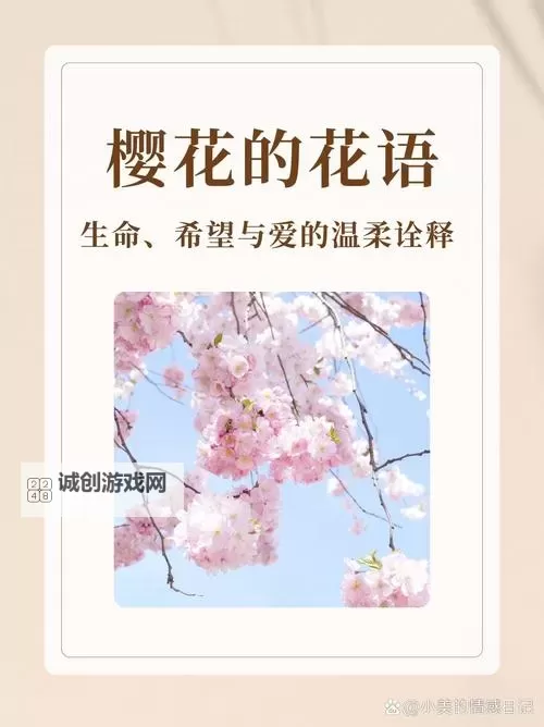 漾出Flower樱花翻译免费看:开启浪漫樱花季的最佳指南图1