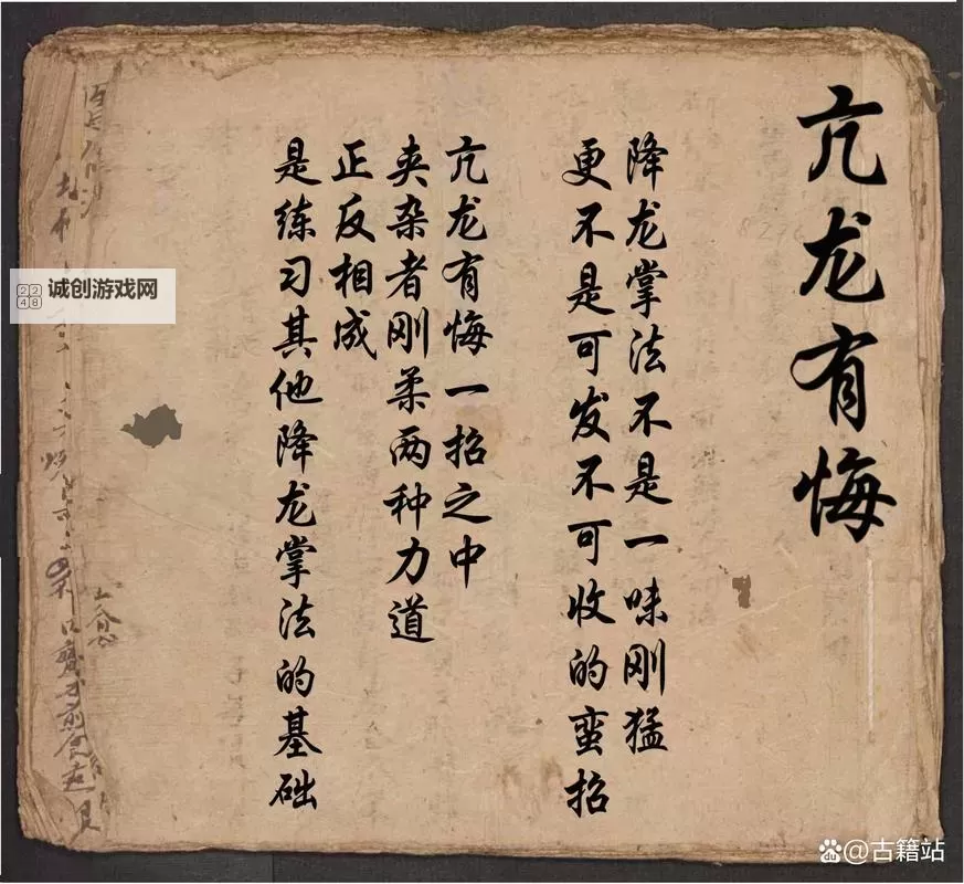 九阴丐帮降龙掌法10层修炼秘籍详解图1