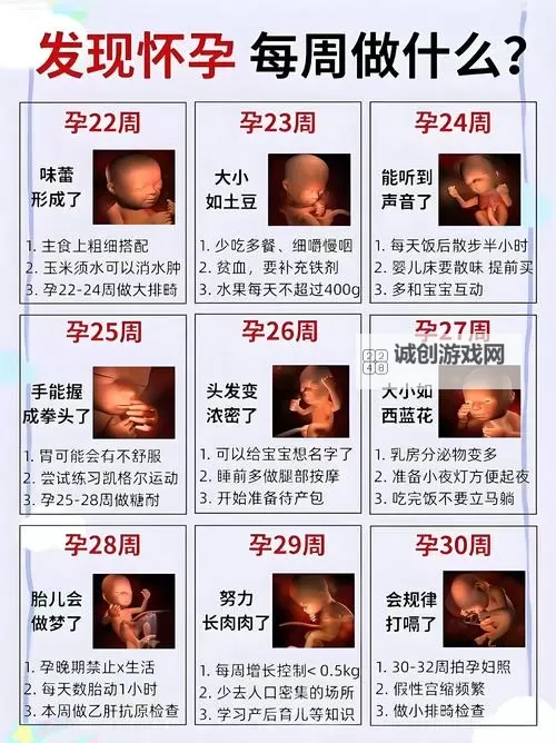 孕妇的BB好大:胎儿发育的惊人变化与孕期注意事项图2