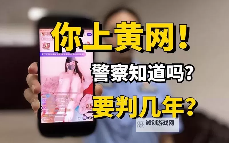 國產在綫黃色內容的最新動態與安全防範图1