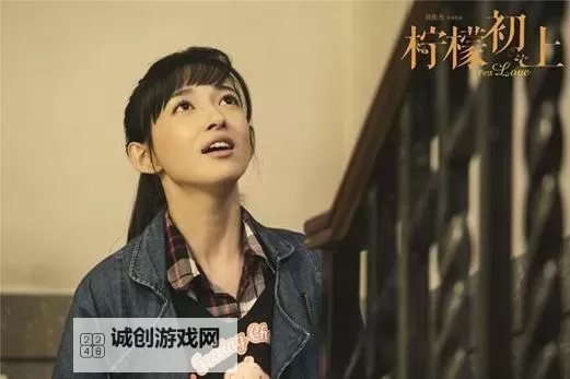 还童丹图片揭秘:青春奇药的神秘面纱图1