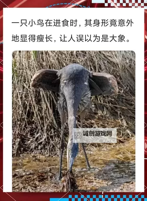 揭秘真相:探索真实的谎言3D字谜的谜题奥秘图1