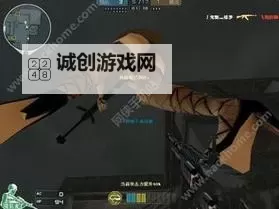 火线精英辅助发卡网：安全稳定的充值体验推荐图1