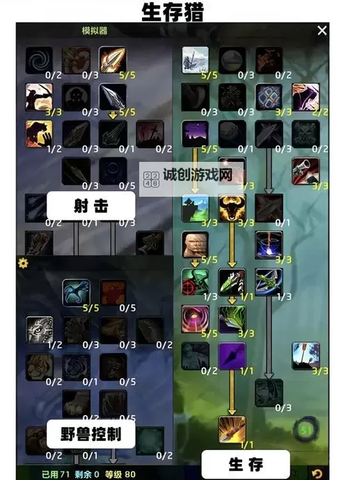 沙石幼龙巫妖王之怒有吗：揭秘游戏中的强力宠物与战斗策略图1