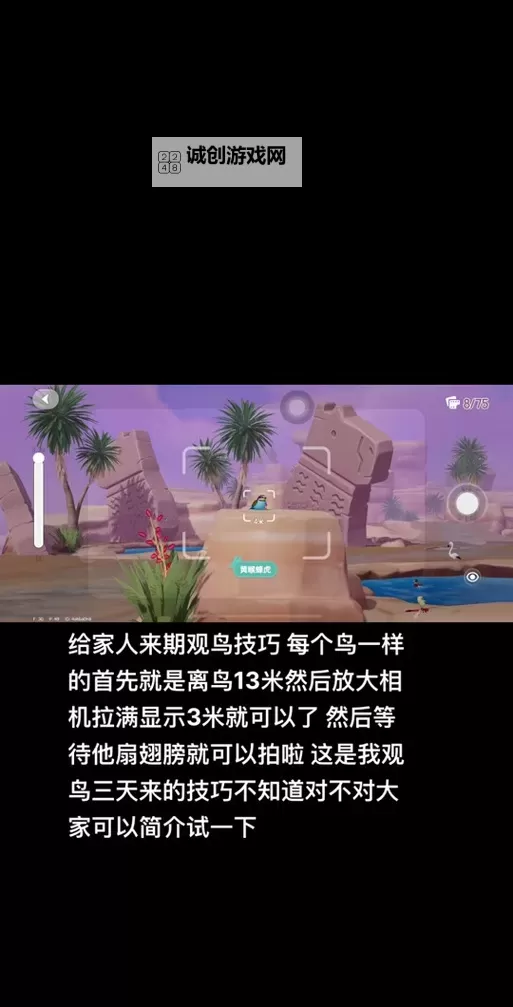 《心动小镇》观鸟拍照技巧分享 拍鸟怎么拿高星图1