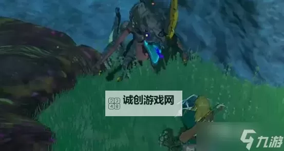 《塞尔达传说王国之泪》蜥蜴池中沉睡的秘宝任务攻略图2