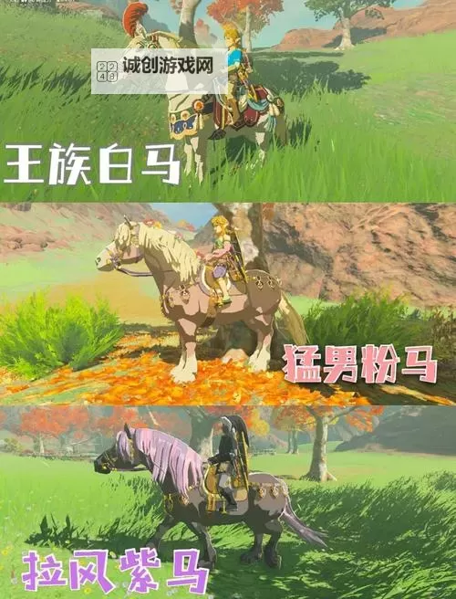 《塞尔达传说荒野之息》马匹捕捉方法 荒野之息怎么抓马图2