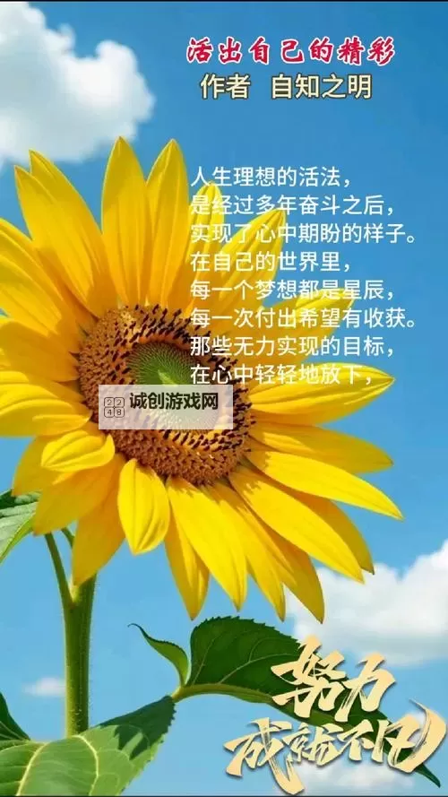 探索精彩人生：正能量视频WWW正能量视频网站入口推荐图1