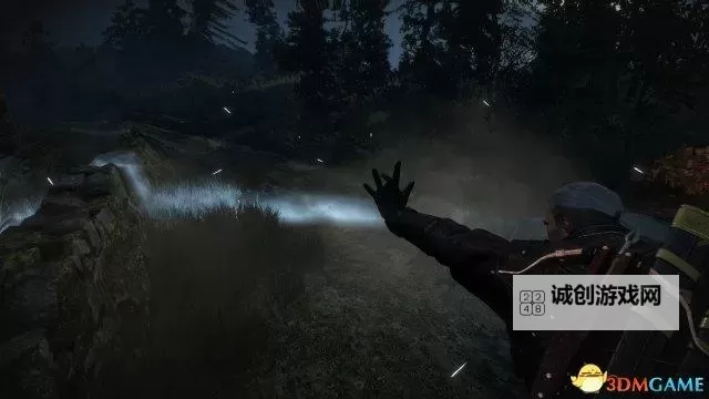 《巫师3》全法印手势截图一览图2