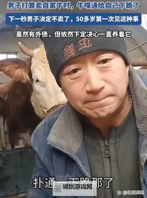 主人被自家牛怼上树僵持3小时：乡村奇遇记曝光图1