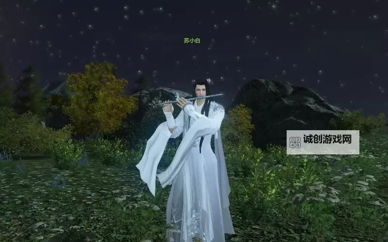 天涯明月刀手游苏小白坐标详解及定位指南图2