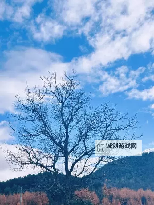 无码转帖区 - SiS001! Board:交流免费高清素材与精彩内容图1