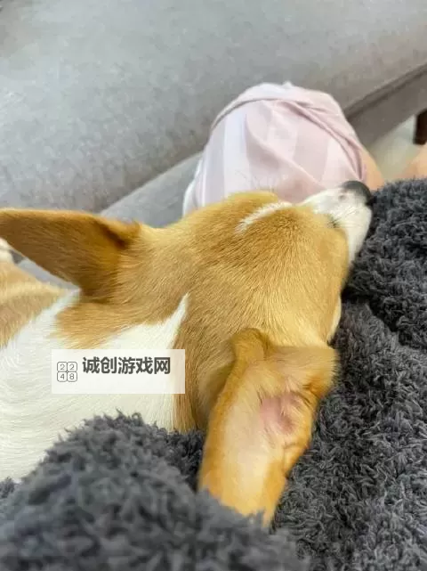 色咯咯：童趣中的欢笑声音图1