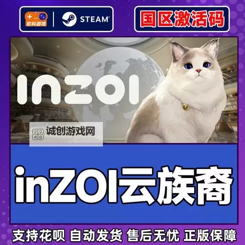 《云族裔inzoi》Steam令牌设置教程 Steam令牌怎么激活图1